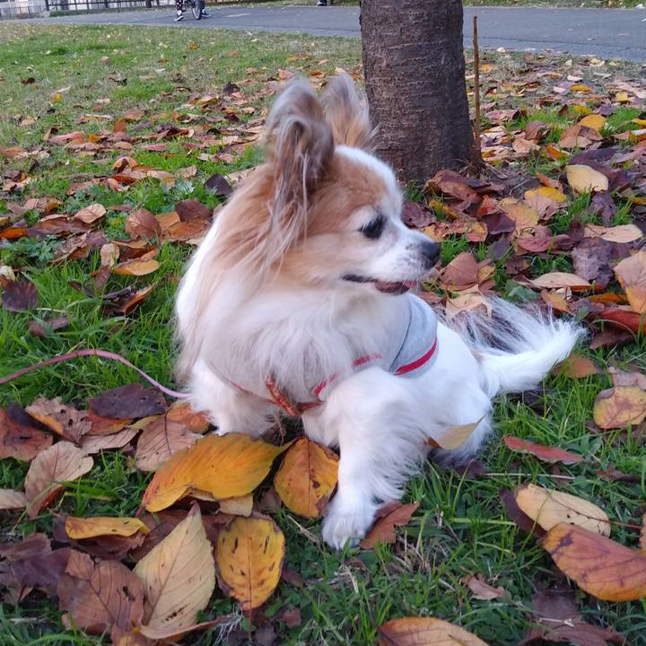 Fd1647fc 7431 4c94 b7fc 2880d98cb38c 1543656707237