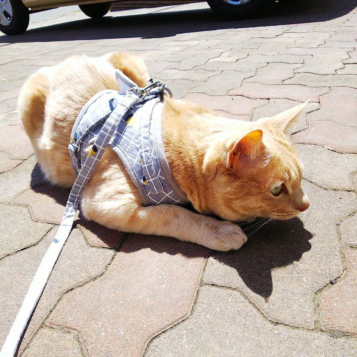 Fd1653f3 4f0a 48a2 a6f4 240179cdadb3 1682133922929