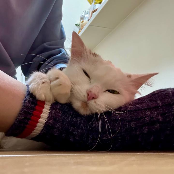 Fd1673c7 d68b 48cc 939c c94d82f38495 1766289863269