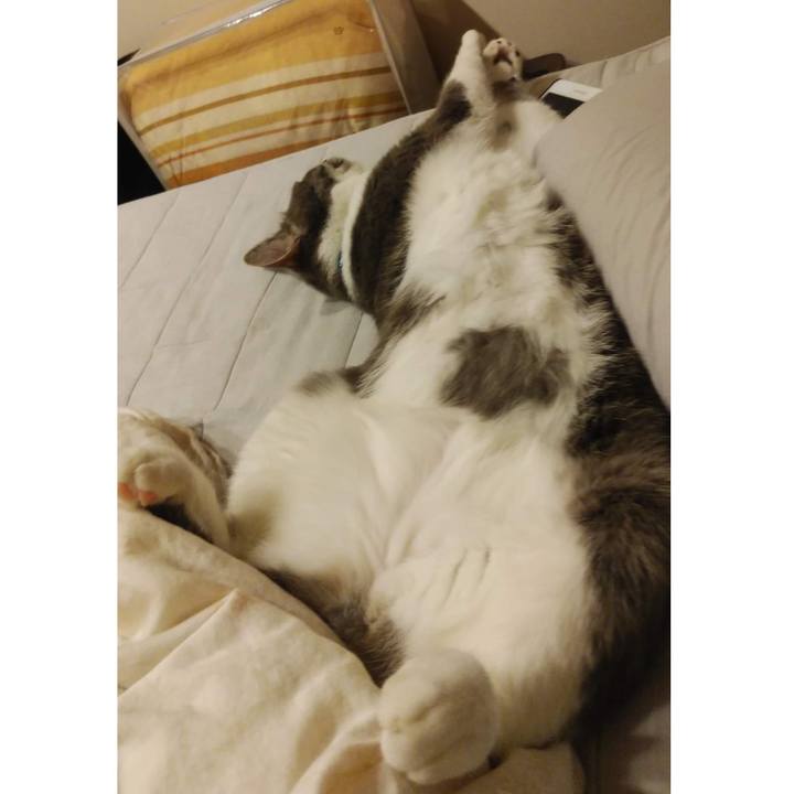 Fd1678fe 5887 4f69 a99b c145de4d3652 1655464328118