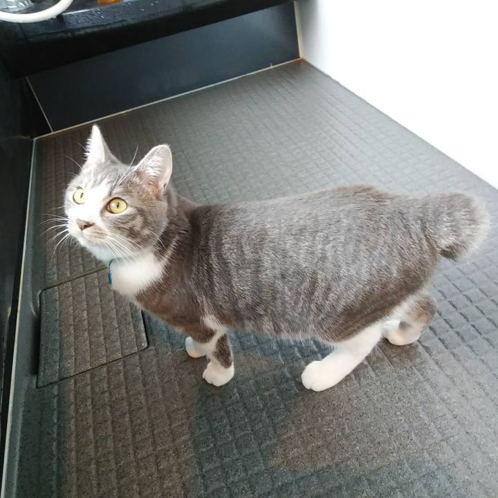 Fd1698e6 892d 4301 9a9d 1679fc6f3263 1576365881299