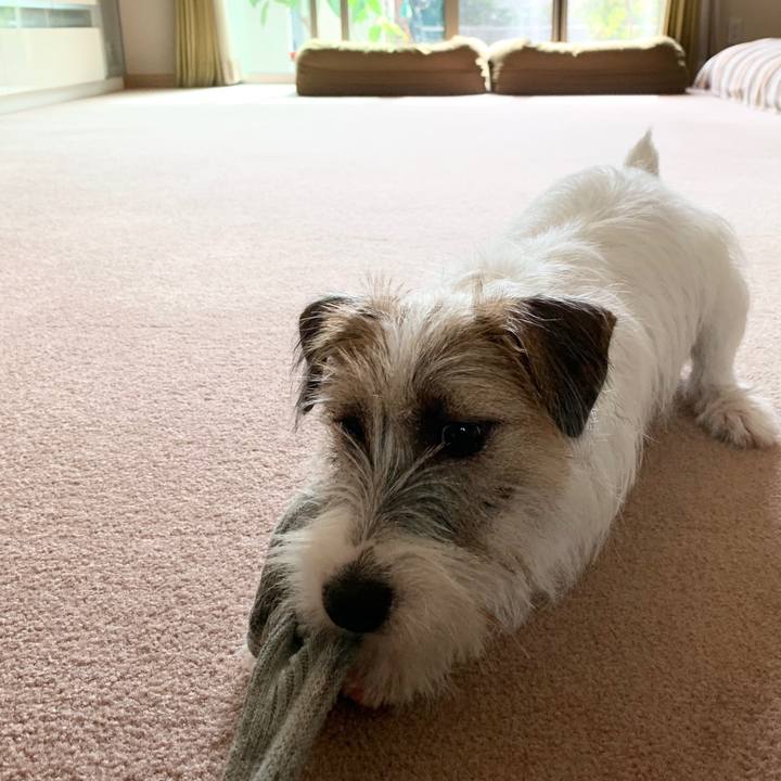 Fd169f09 5e79 4ebc 9501 d3e4ff02b618 1570679642965