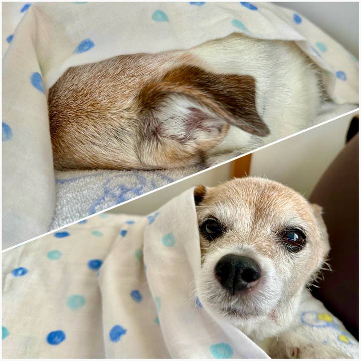 Fd16a270 6780 4e0d 8110 db8b19d71a70 1714696280020