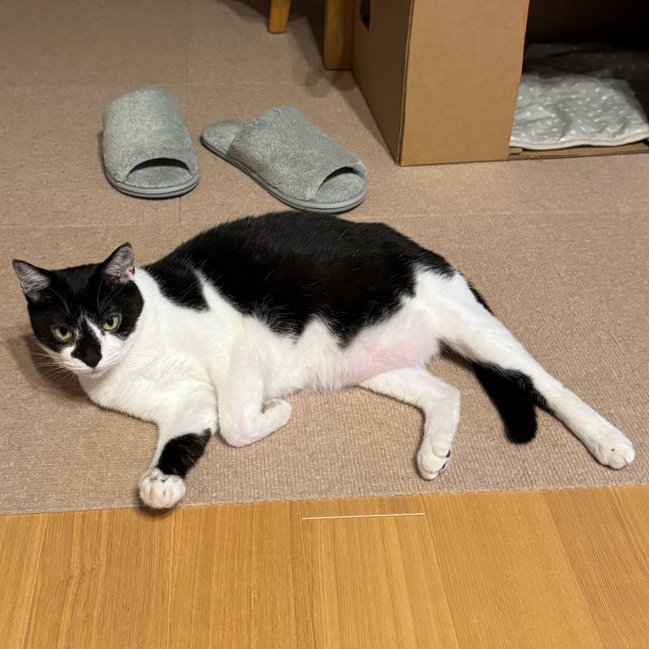 Fd16a3b1 7182 489a a302 6acdf1e545f5 1756763599653