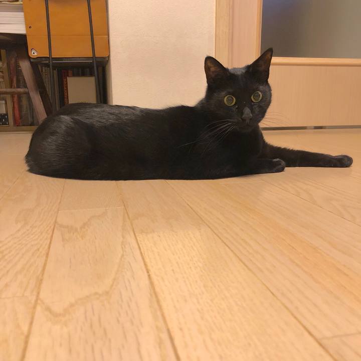 Fd16d0b0 9b38 4b55 9094 bddcd23de7df 1555422666194