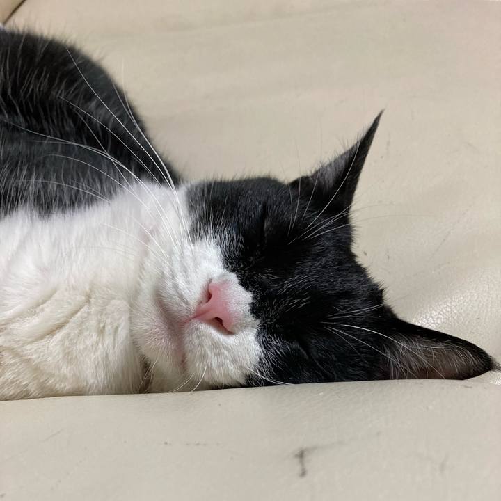 Fd16f9ae 7904 4f86 a8c8 2958c50d154e 1655186922692