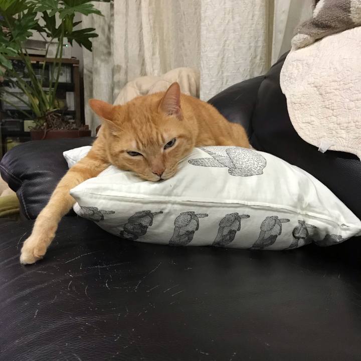 Fd1767c0 8271 4210 8314 79e37e93a200 1578666572324