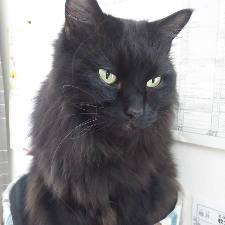 Fd176f08 1058 4eec 86e0 9d3bc7654119 1546582006003