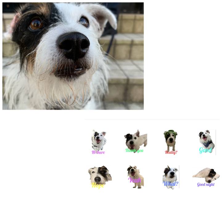 Fd179077 7ca3 43a5 830b 867560600cc5 1663111369454