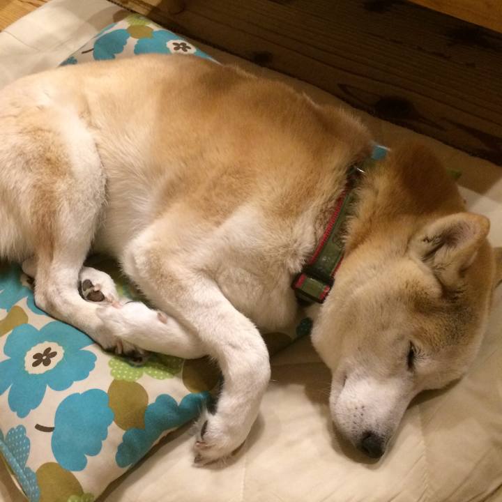 Fd17b551 46dd 4656 a5b9 33c4bcbe5767 1554905699746