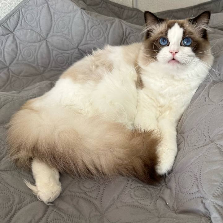 Fd18079c 7bc5 4b60 bbec 004a74ed3e9e 1764825072691