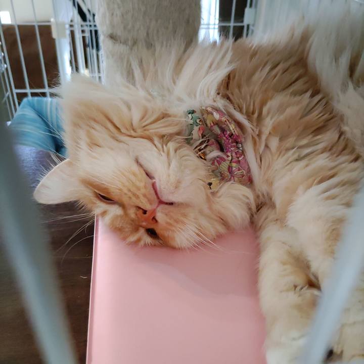 Fd180fae 6685 4b81 bfeb cb8a9ff82c1d 1674006569626