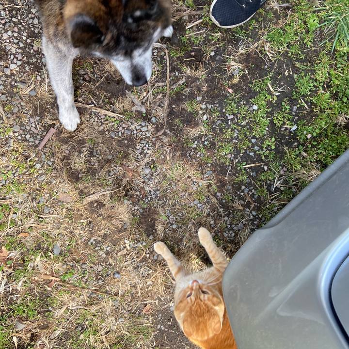 Fd182a3c bcfd 4387 87a7 f641e887f77d 1713341776049