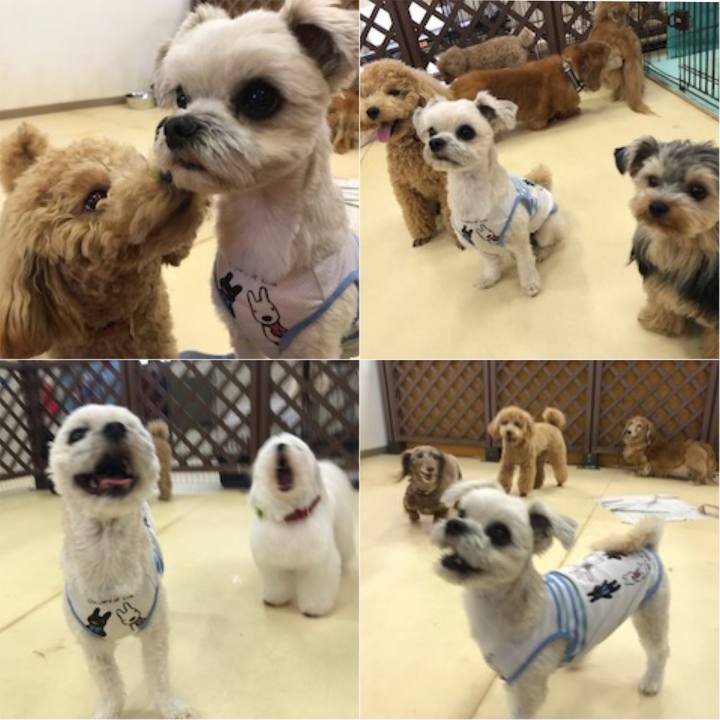 Fd182dc1 384e 459e b6d2 4f583506c1d1 1526045673819