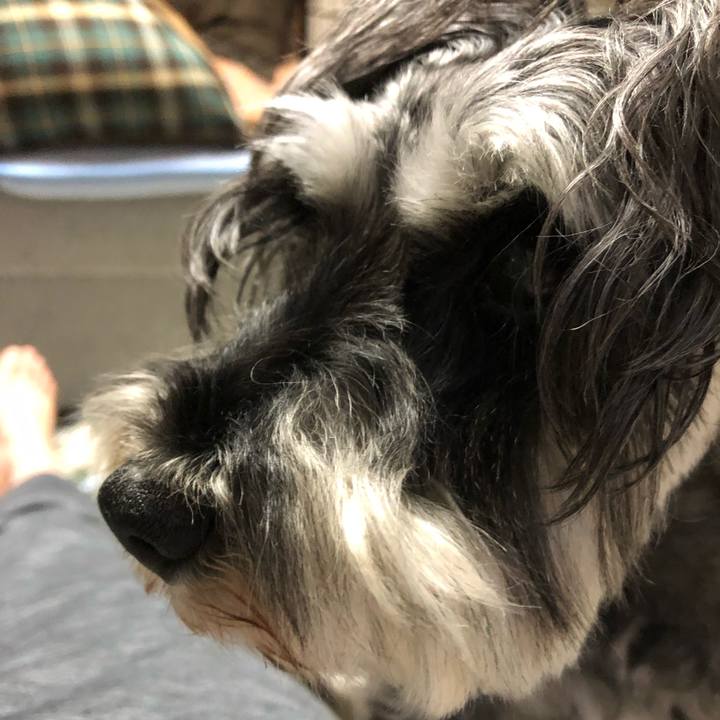 Fd185aeb c1b2 420a b73c a85064e078ae 1624103556890