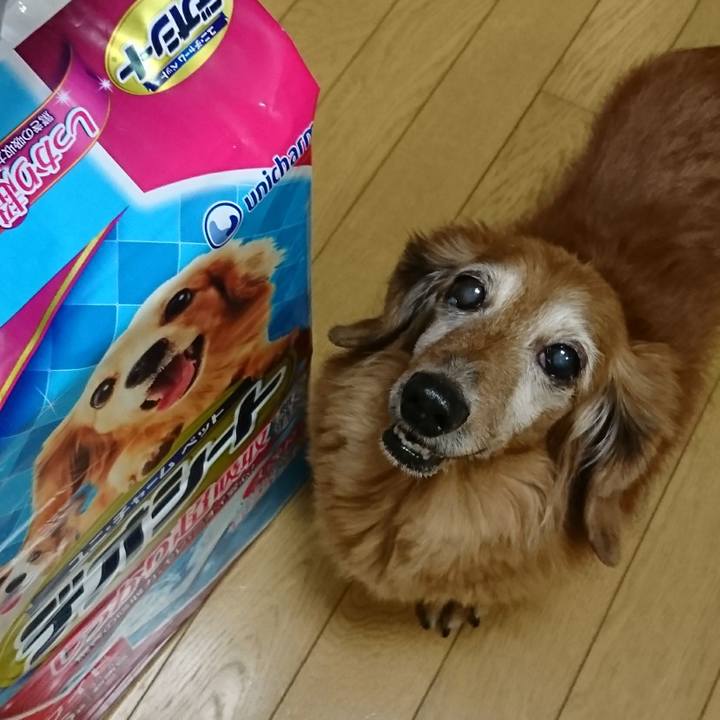 Fd187b62 fceb 4ff5 94b0 f04bf9324204 1508830257549