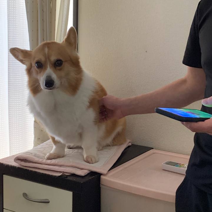 Fd18833c 07da 49cf b3cb b2a1c5b74bee 1589697652848