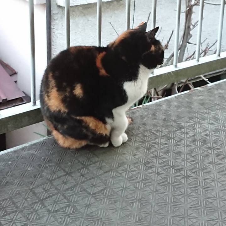 Fd189649 1f96 44ba 8734 2a48b81610cc 1643772520747