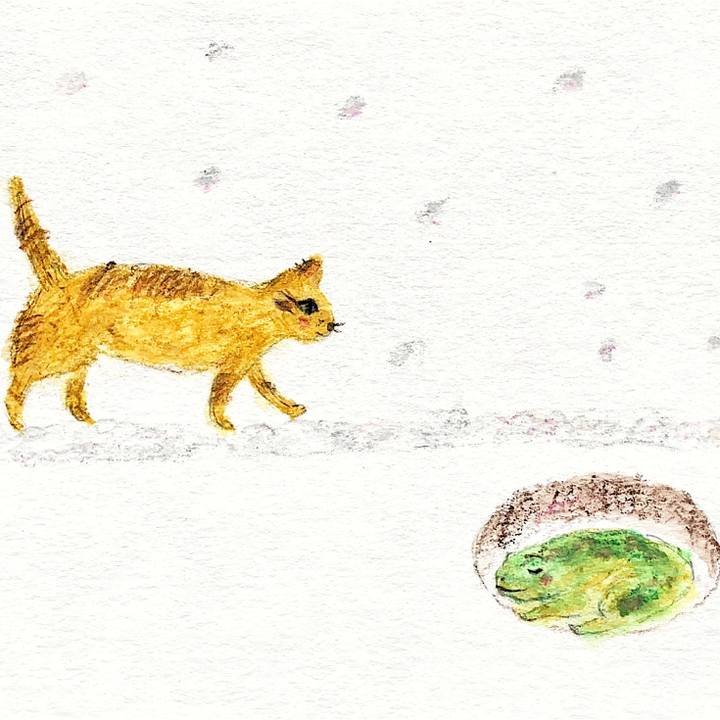 Fd18ff31 7c93 49f1 b457 54b81e5a70e6 1661746720797