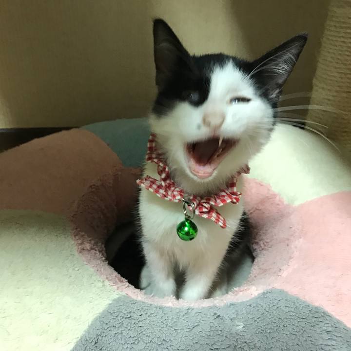 Fd190597 89a4 479d b9ac 5f149a3322a5 1508661302020