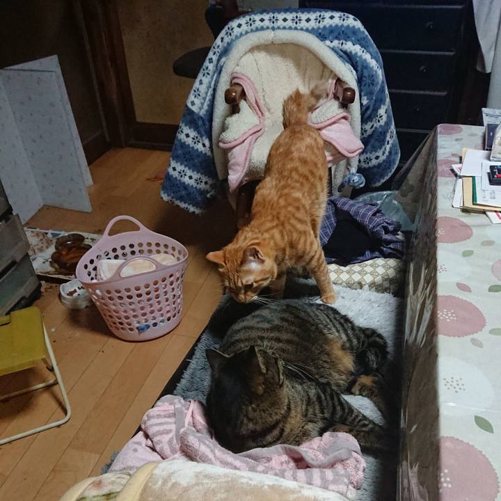 Fd191e75 fd96 4db8 819b 3d05df42d57a 1644570778611