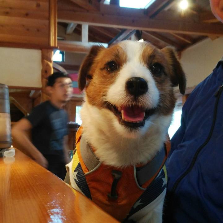 Fd19404c 4a5a 42ef 92d2 f43777366107 1525733677963