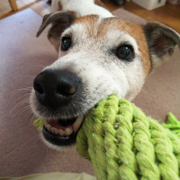 Fd1966a8 8ae2 4e6f a17c 0400cb04c8fe 1531639082455