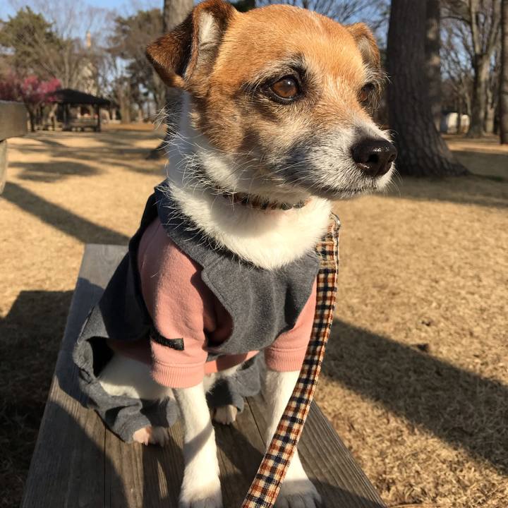 Fd197505 29c5 4322 8a9f 2dbaf2246a21 1550737447154