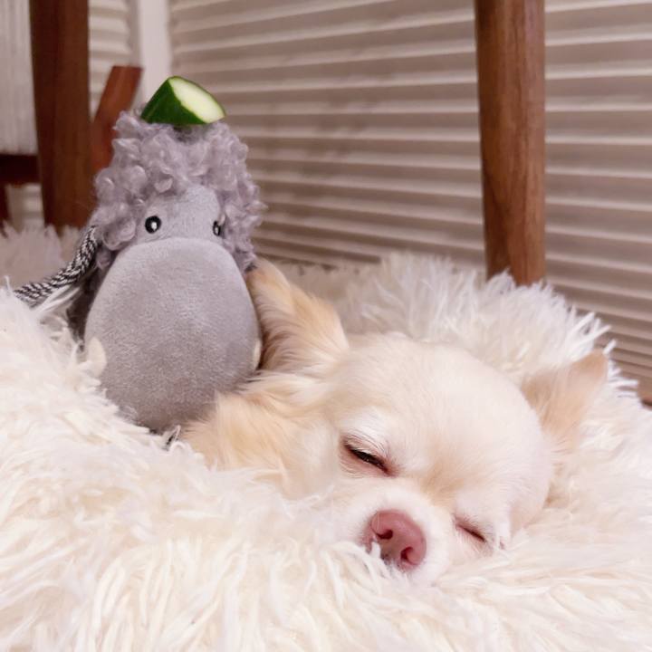 Fd198a71 0164 4026 b6f6 d1e027ef4fab 1748258175434