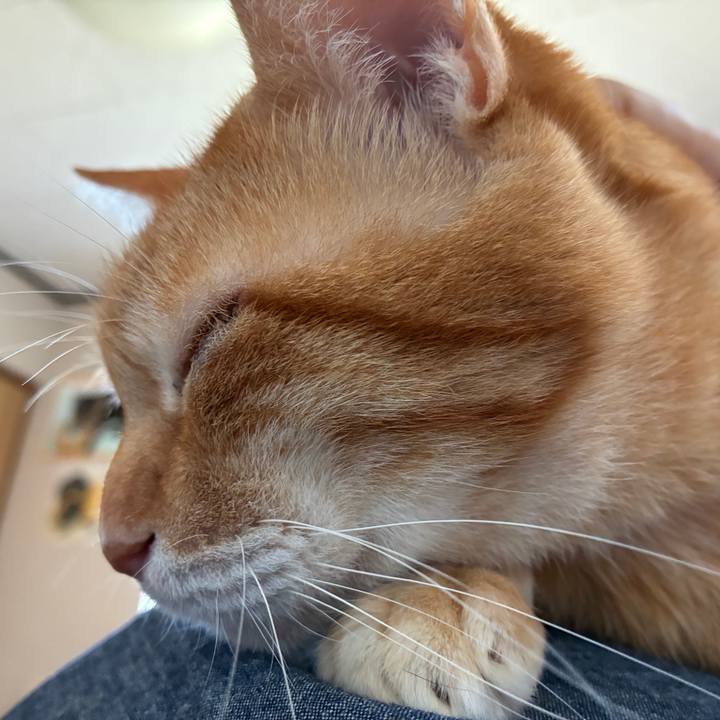 Fd19a416 f9ec 4aea b689 5c1b809a1b60 1759623437253