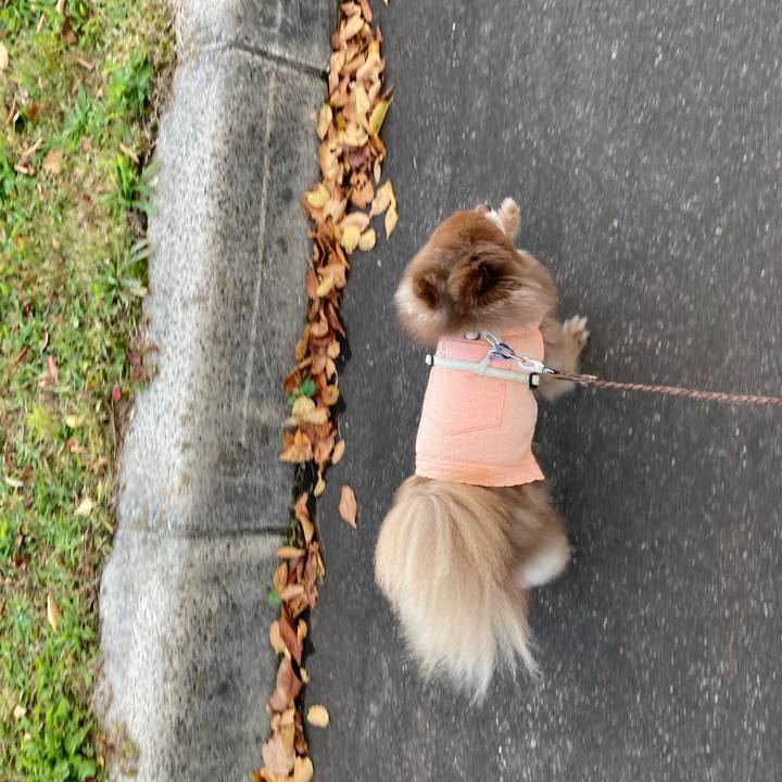 Fd19cf82 7028 474f 9638 4f8f08929be2 1667422344788