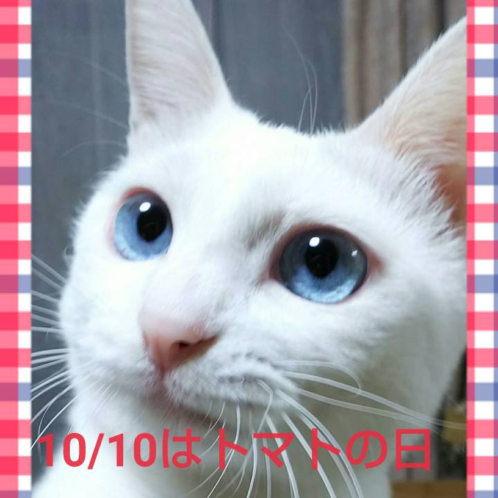 Fd1a156a 5315 46bb 992f 50c3e70c0145 1541569901502
