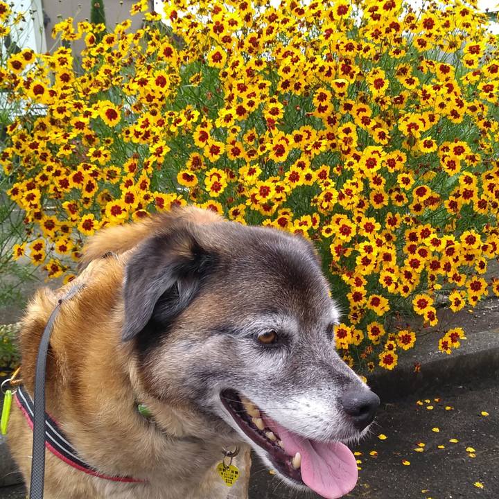 Fd1a32e8 83ff 439e 933f 2f6297df212d 1561679931333