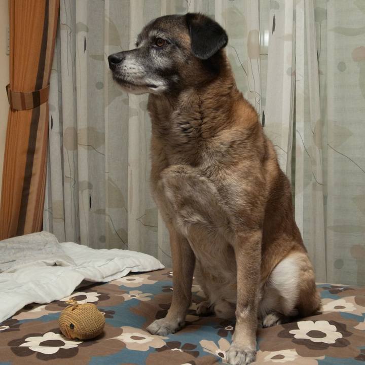 Fd1a4360 f8a9 4b39 a9a2 aac413ffebc2 1584751200221