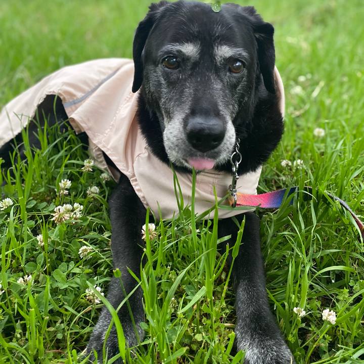 Fd1a509b 5f43 4b1b a8e4 693c995407ca 1715171225493