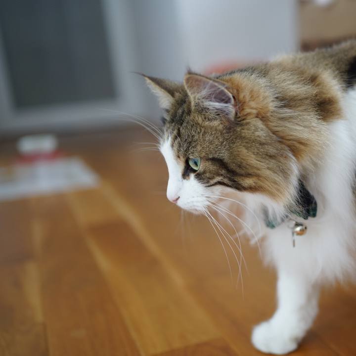 Fd1a6802 6545 4daa 9607 27f1bd5ce868 1622688490602