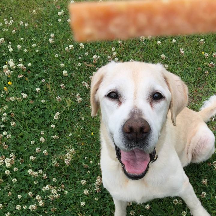 Fd1a6a3d 7ae6 4b9c a206 bed85e3ccb06 1527859922310