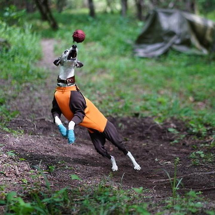 Fd1aabf6 5c60 4d89 aa1d 6acaac17fc72 1531475931574