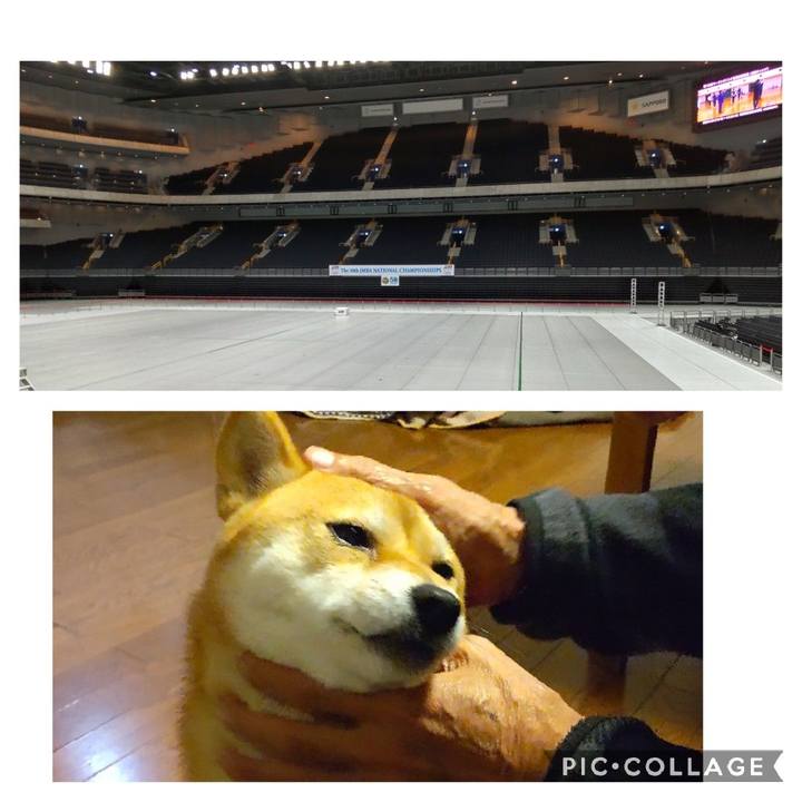 Fd1b6bee 307f 45dc a57a f7bb3ded28db 1670682228990