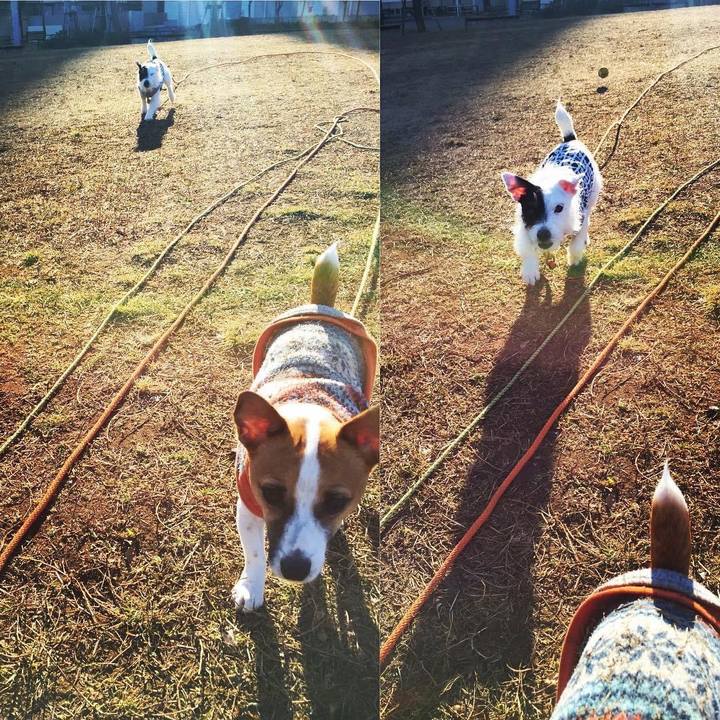 Fd1bbd96 e1c5 4e2f a602 8262fac35438 1674731632171