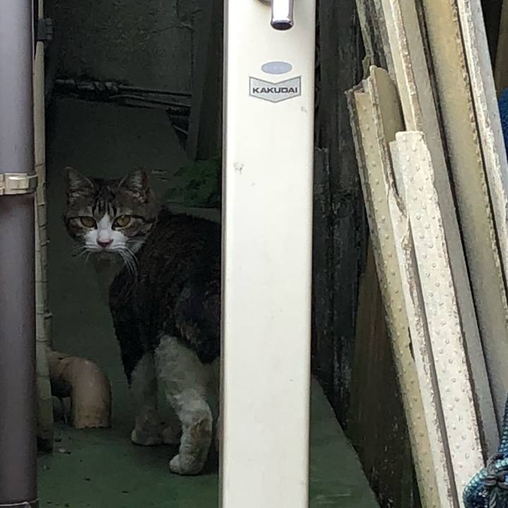 Fd1bc4d8 db11 4634 9adb 4226220fc3c8 1522831470216