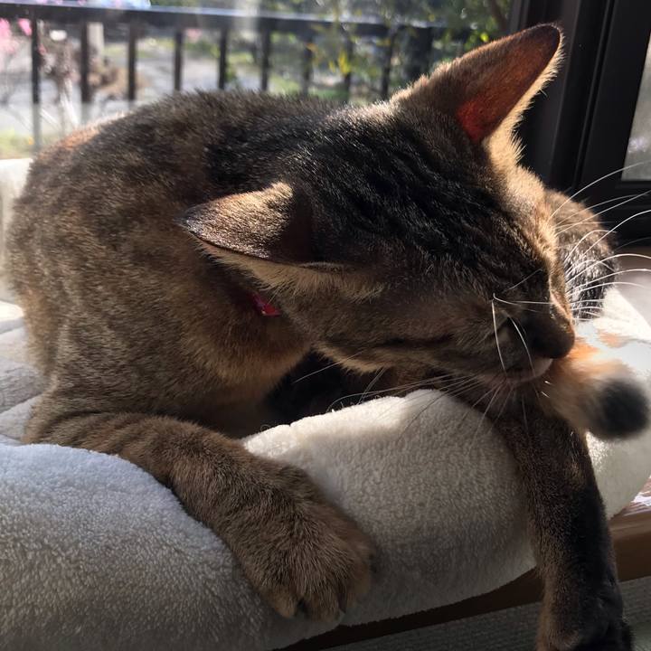 Fd1be09b 2c7b 4239 8afe 5e10e974e4cd 1582158577153