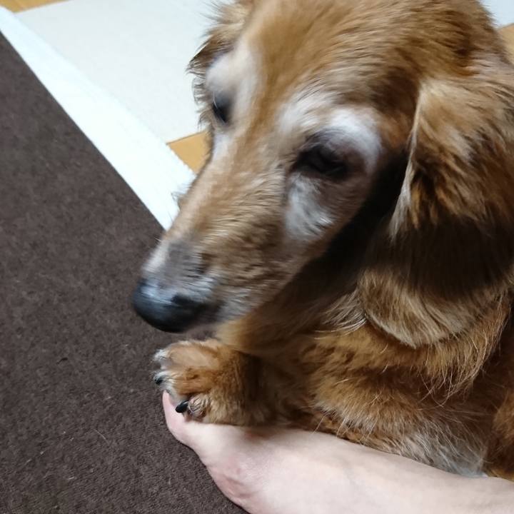 Fd1bf315 21ce 4895 9ede 43977285d1c9 1621233239734