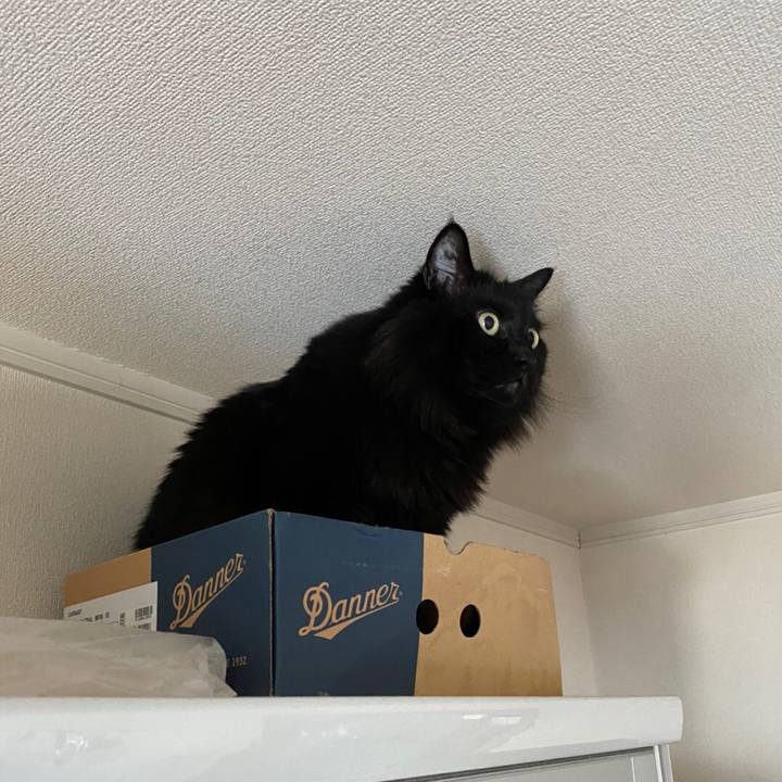 Fd1c0766 5a87 46ae 8fab 8c10115aa2c6 1582881088634