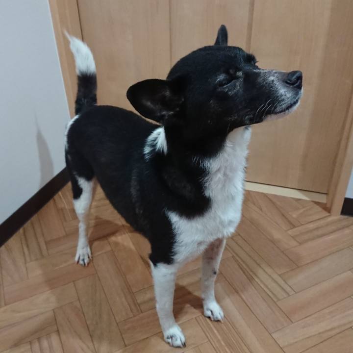 Fd1c15fc c8cc 4687 bfa9 afa0790b07f4 1553490893250