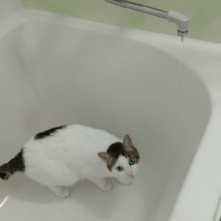 Fd1c2e41 c3c9 468e aebf 6d262059d1e7 1672660495034