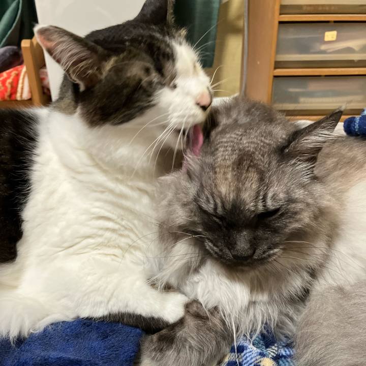 Fd1c5211 009b 4e60 9e3f b7fd783e8d22 1740875500349