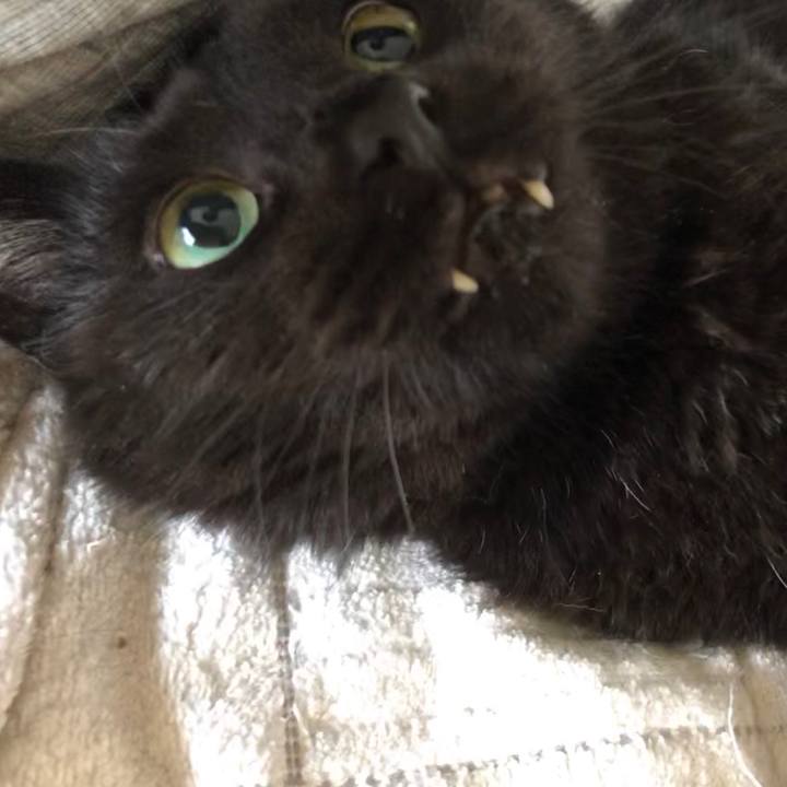 Fd1c5603 70a4 4b46 ae39 09468855234a 1594674867946