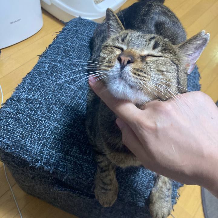 Fd1c7e3d 687c 41b6 a55f e123246b037f 1718946274440