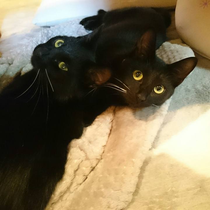 Fd1c872e dc80 4a25 80b0 ead8d17e3527 1508851289377